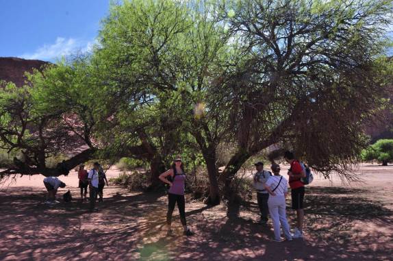 Aproveitando a sombra para uma pausa na caminhada através do árido Parque Nacional Talampaya, na Argentina